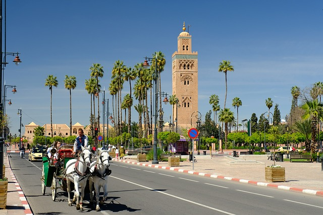 Les hauts lieux touristiques et themes de decouvertes a Marrakech