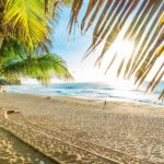 Découvrir les plus belles plages de la Réunion : un paradis tropical à explorer