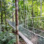 Visiter taman negara en Malaisie : quels trésors cachés découvrir ?