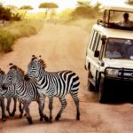 Que faire en Tanzanie ?