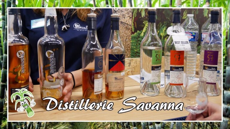 Vue panoramique de la distillerie Savanna à La Réunion, entre tradition et modernité