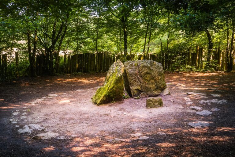 Vue panoramique de la forêt de Brocéliande baignée de lumière en été