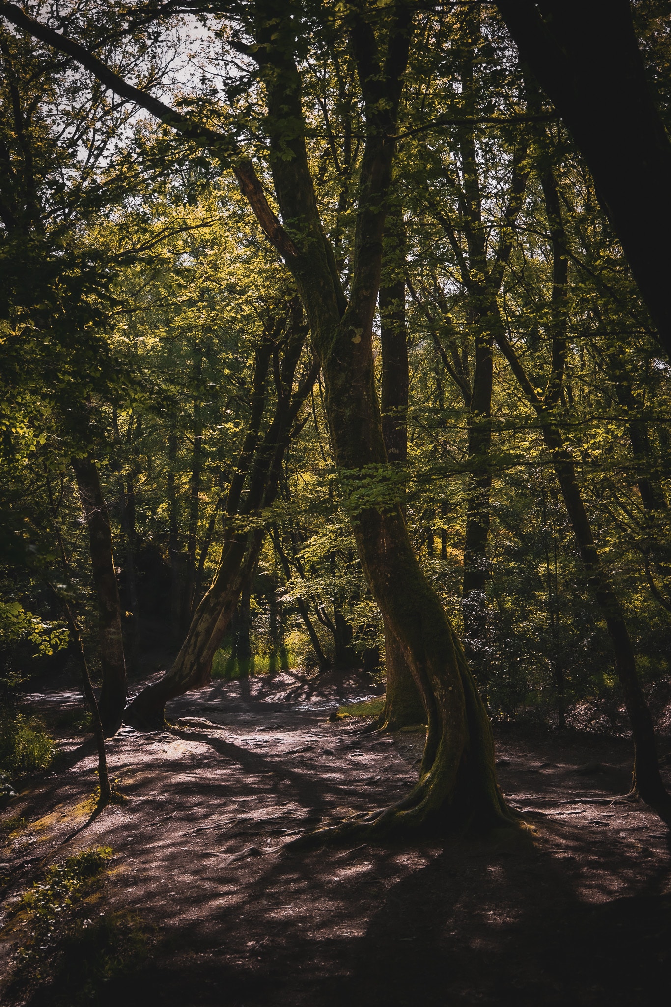 Val sans retour Brocéliande