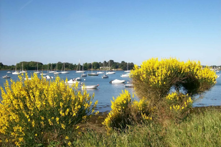 Golfe du Morbihan